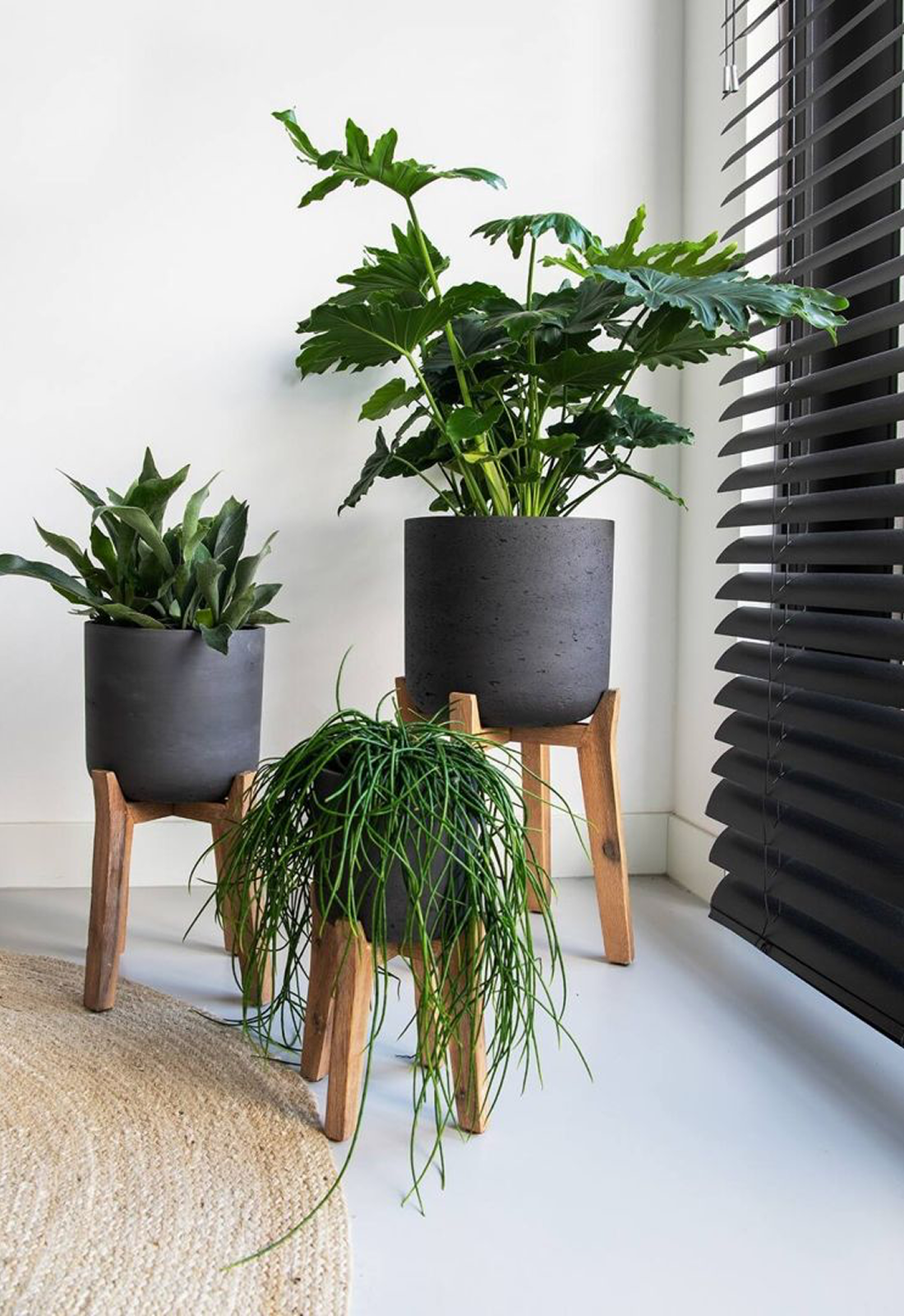 Rough Charlie High Feet L