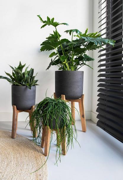 Rough Charlie High Feet L