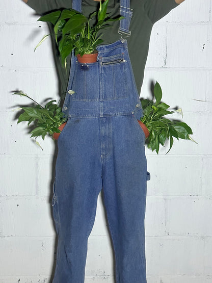 Spathiphyllum sweet Lauretta